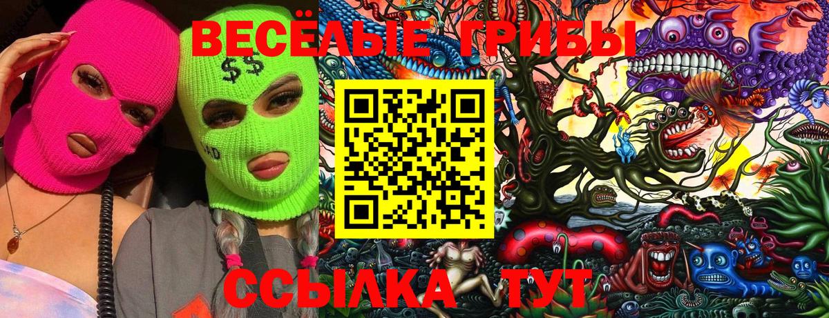 Псилоцибиновые грибы Cubensis Вязники