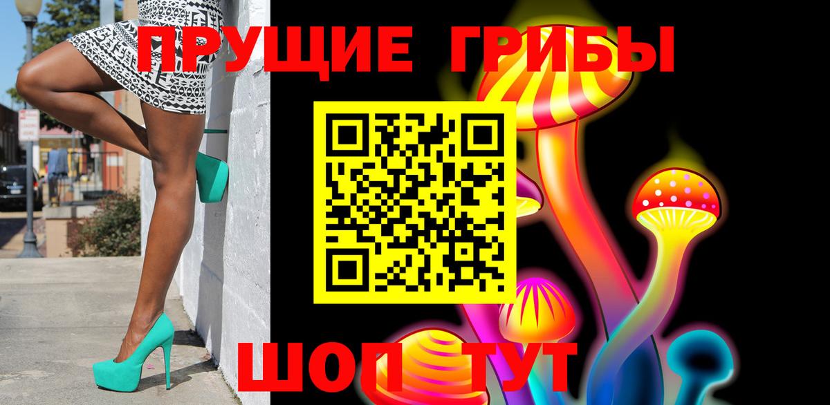 Псилоцибиновые грибы GOLDEN TEACHER  Вход с VPN  Вязники  Псилоцибиновые грибы MAGIC MUSHROOMS 
